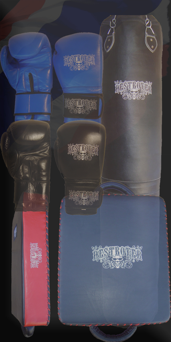 Destroyer Fight Gear equipment panel